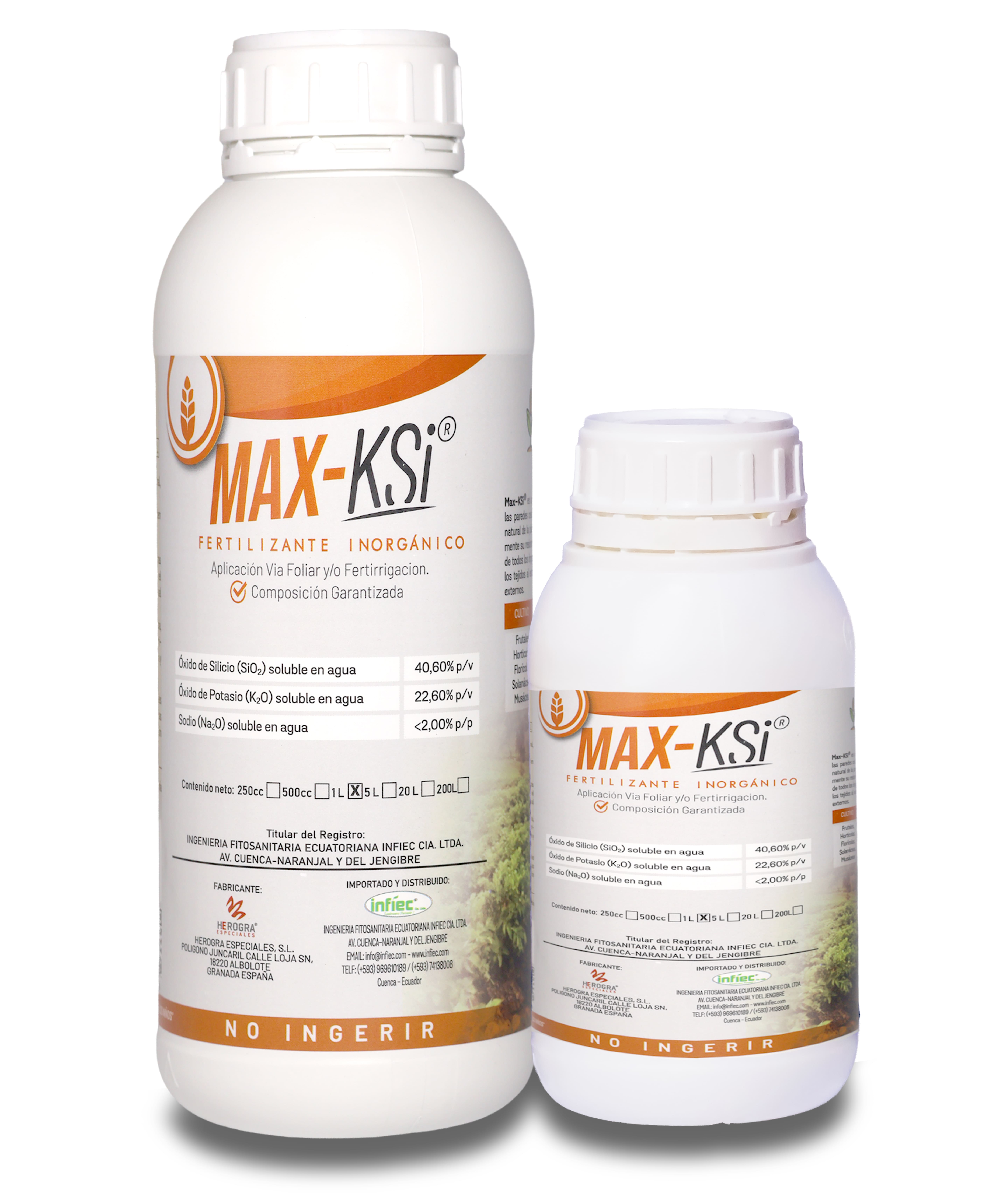 MAX-KSI